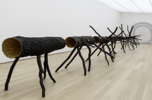 Giuseppe Penone, Spazio di Luce, Space of Lights, 2008, ph. © Archivio Penone.jpg