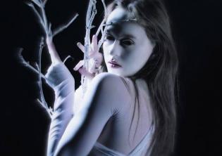 16° Festival Dantesco Internazionale-Foto: locandina ufficiale della manifestazione