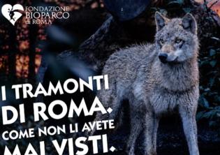 Il Bioparco al Tramonto-Foto: locandina ufficiale della manifestazione Il Bioparco al Tramonto-Foto: locandina ufficiale della manifestazione