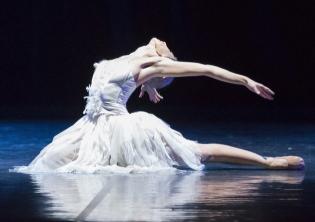 Il Lago dei Cigni ovvero il Canto - Balletto di Roma