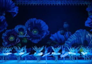 La Bayadère, ph. Fabrizio Sansoni - Opera di Roma 2023