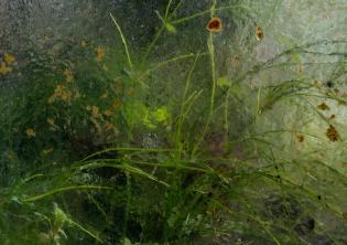La vie en vert-Foto: sito ufficiale della Galleria del Cembalo