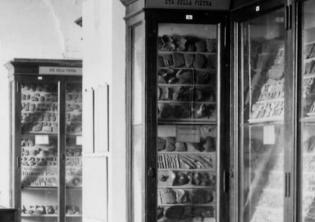 Origine e prospettive-Foto: locandina ufficiale della mostra Origine e prospettive-Foto: locandina ufficiale della mostra