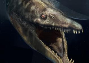 PaleoAquarium - Il Mare al Tempo dei Dinosauri PaleoAquarium - Il Mare al Tempo dei Dinosauri