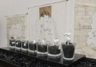 Silvia Scaringella - Deus sive natura - ph. Giorgio Benni Silvia Scaringella - Deus sive natura - ph. Giorgio Benni