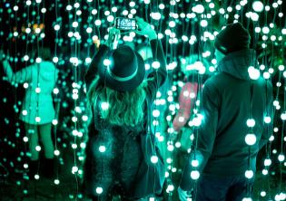 Trame di Luce - Installazione  - Carillon di luci all'Orto Botanico di Roma