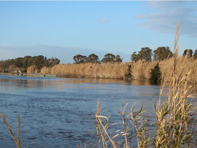 Foto Parco archeologica di Ostia antica