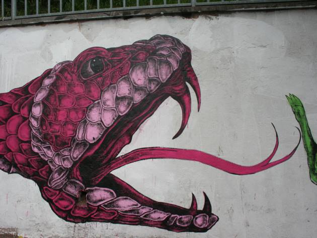 Serpente, particolare Serpente, particolare