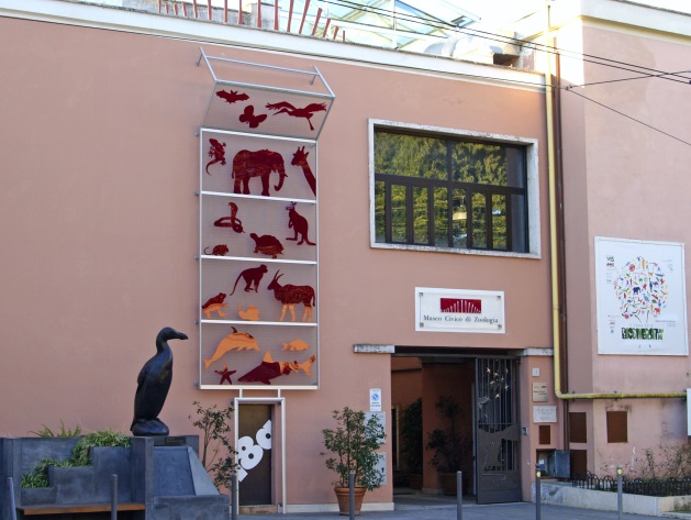 Museo Civico di Zoologia Museo Civico di Zoologia